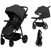 cumpără Сărucior pentru copii Lionelo Mira Grey Graphite în Chișinău 