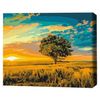 купить Картина по номерам BrushMe BS52578FC 40x50 сm (fără cutie) – Apus de aur в Кишинёве 