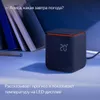 купить Колонка портативная Bluetooth Yandex YNDX-00054PNK Alisa Station MIDI Pink в Кишинёве 