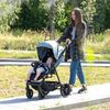 cumpără Сărucior pentru copii Coletto Carucior Dizzi Mint în Chișinău 