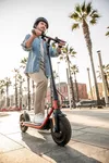 cumpără Trotinetă Segway Ninebot Kickscooter D38E în Chișinău 
