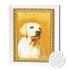купить Картина по номерам Art Gallery JS28250 Mozaic cu diamante 20x30cm Labrador в Кишинёве 