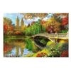 купить Пазл Trefl 20216 Wooden puzzle 500+1. Central Park, Manhattan, New York в Кишинёве 