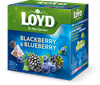 cumpără LOYD Blackberry & Blueberry, 20 pac. în Chișinău 