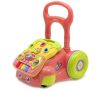 купить Ходунок Baby Mix 53215 ходунок-толкатель розовый музыкальный в Кишинёве 
