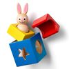 cumpără Joc educativ de masă Richi SG 037RO Bunny Boo (ro) în Chișinău 