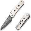 купить Нож походный Civivi FG C22036-DS1 Vision, G10, Superlock в Кишинёве 