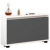 cumpără Raft pentru încălțăminte Mobildor-Lux Leo Slim 100x16x47H cm White/Anthracite în Chișinău 
