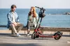 cumpără Trotinetă Segway Ninebot Kickscooter D38E în Chișinău 