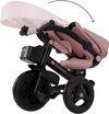купить Велосипед-коляска KinderKraft KRAVEO02PNK0000 Aveo 2 Plus Pink в Кишинёве 