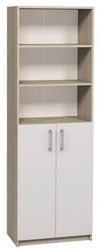 cumpără Dulap de birou Tisam Шкаф полузакрытый с двумя дверцами 702х405х2119, Бук Артизан/Светло-серый (7710) în Chișinău 