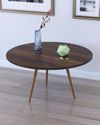 купить Журнальный столик Remaks Paris Coffee Table Walnut в Кишинёве 
