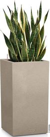 купить Цветочный горшок Lechuza Canto Stone 40 High, Sandy Beige в Кишинёве 