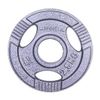 купить Гантель inSPORTline 1176 Disc d=50 mm metal 2,5 kg 12702 Hamerton в Кишинёве 