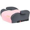 cumpără Scaun auto Summer Baby Flori I-Size (4581) Pink în Chișinău 