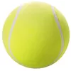 купить Игрушка miscellaneous EOLO 002SPT Lit´l Biggie Bouncerz (в ассорт.) в Кишинёве 