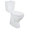 купить Унитаз Uniplast 68100 compact cu capac și mecanism, pentru persoane cu dizabilitati 60cm EGE VITRIFIYE в Кишинёве 