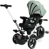 купить Велосипед-коляска Toyz 0358 Dush Tricicle Verde в Кишинёве 
