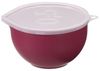 cumpără Bol Plast Team 2510 Миска с крышкой - 05 л în Chișinău 