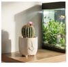 cumpără Ghiveci pentru flori Idea М3074 Basya D115mm, 0.65L, alb în Chișinău 