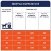купить Корм для питомцев CLUB 4 PAWS 24231005 Sac caini rase medii 20 kg в Кишинёве 