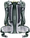 купить Рюкзак спортивный Deuter Flyt 14 turmeric-ivy в Кишинёве 