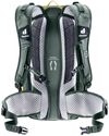 купить Рюкзак спортивный Deuter Flyt 14 turmeric-ivy в Кишинёве 