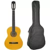 купить Гитара Fiesta Aria 4/4 FST-200 Natural + husa в Кишинёве 