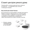 cumpără Boxă portativă Bluetooth Yandex YNDX-00020G Alisa Station Mini Gray în Chișinău 
