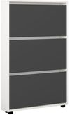 купить Полка для обуви Mobildor-Lux Leo Slim 50x16x125H cm White/Anthracite в Кишинёве 