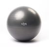 Мяч гимнастический / Фитбол d=65 cm Bodhi  Ball 
