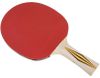 купить Теннисный инвентарь Donic 3214 Paleta tenis masa TOP TEAM Level 300/705031 в Кишинёве 