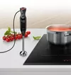 купить Блендер погружной Bosch MS6CB6110 в Кишинёве 