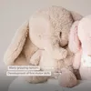 cumpără Jucărie cu pandantiv Nattou 759175 Fanfan musical plush toy elephant sand în Chișinău 