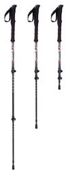 cumpără Bețe pentru trekking inSPORTline 13586 Baston treking IN23356 (2 buc) 66-140cm Montgato în Chișinău 