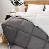 cumpără Set de perne si plapume Relaxe Home Plapuma RH Alaska 450 g/m2 microfiber 200x220cm (Grey/White) în Chișinău 