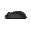 Mouse Wireless DELL MS5120W, Black 