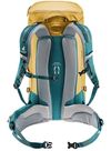 cumpără Rucsac turistic Deuter Trail 30 almond-deepsea în Chișinău 