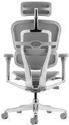 купить Офисное кресло ART Ergohuman Elite 2 Natural T-168-B2 EHE2-AG-HAM-5D-L в Кишинёве 