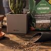 cumpără Substrat pentru plante Lechuza Cactuspon, 6l în Chișinău 