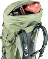 купить Туристический рюкзак Deuter Futura Air Trek 55+10 SL grove-ivy (3402221 1214 0) в Кишинёве 