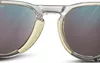 купить Защитные очки Julbo MILLENIUM GRIS/BEIGE RPFRB в Кишинёве 