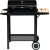 cumpără Grill-barbeque 48.5x26 cm în Chișinău 