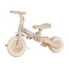 купить Велосипед-коляска Petite&Mars 613364 Tricicleta evolutiva 5in1 Turbo Limited Edition Pink Meadow в Кишинёве 