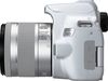 купить Фотоаппарат зеркальный Canon EOS 250D 18-55 f/3.5-5.6 IS STM White в Кишинёве 