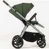 купить Детская коляска DadaPrams Carucior 2in1 Flux Green + Adaptoare в Кишинёве 