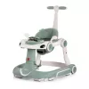 купить Ходунок Chipolino PRHW02502BA 5in1 Happy Walker basil в Кишинёве 