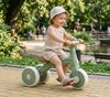купить Велосипед Moni Trizzi Green в Кишинёве 