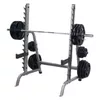 купить Гантель inSPORTline 12853 Suport Bare Reglabil (Max.450kg) GPR370 IN28937 (box1.2) в Кишинёве 