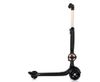 купить Самокат Chipolino DSBLO0261BK 2в1 Bloomi black в Кишинёве 